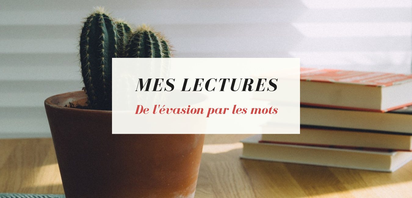 Banière page Mes lectures, Cactus sur une table avec une pile de livres