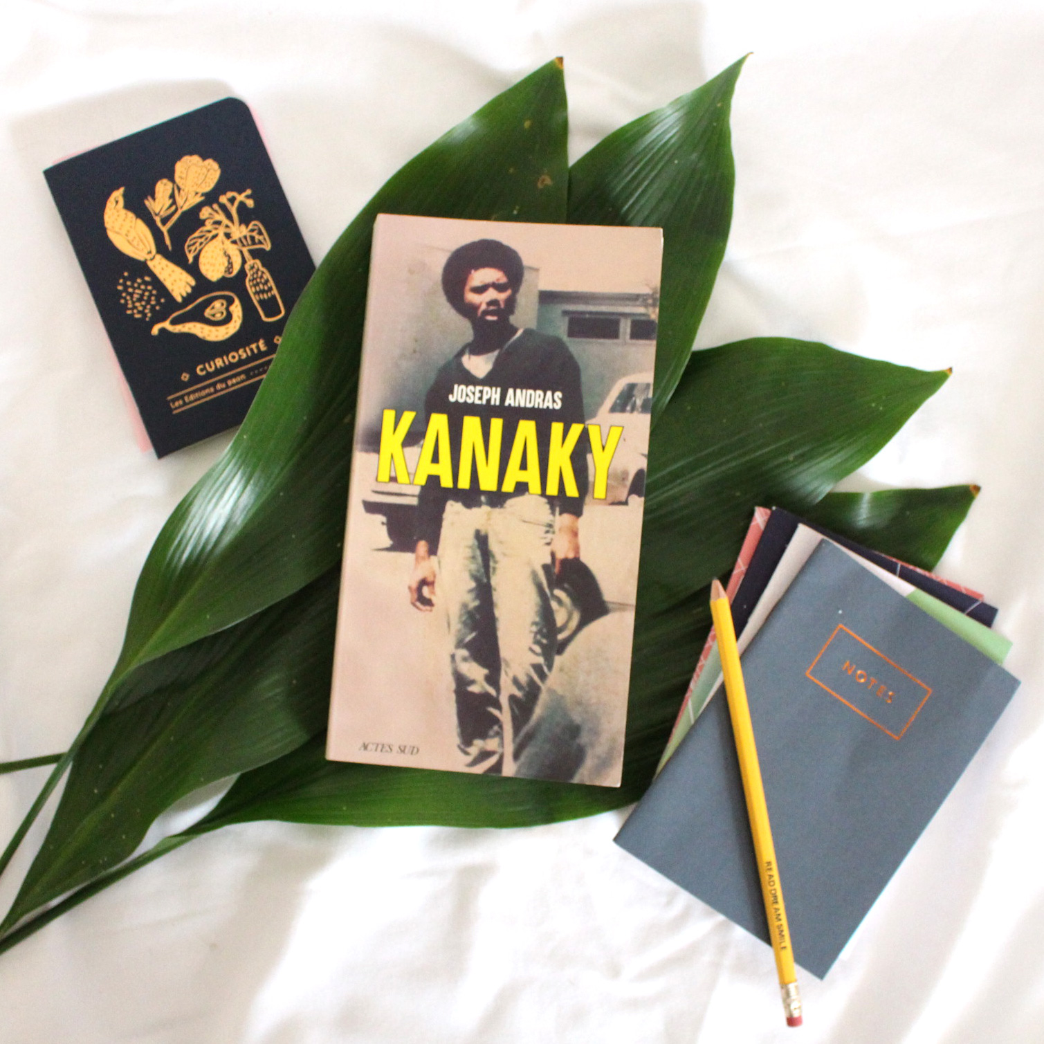 Kanaky, Joseph Andras, Editions Actes Sud