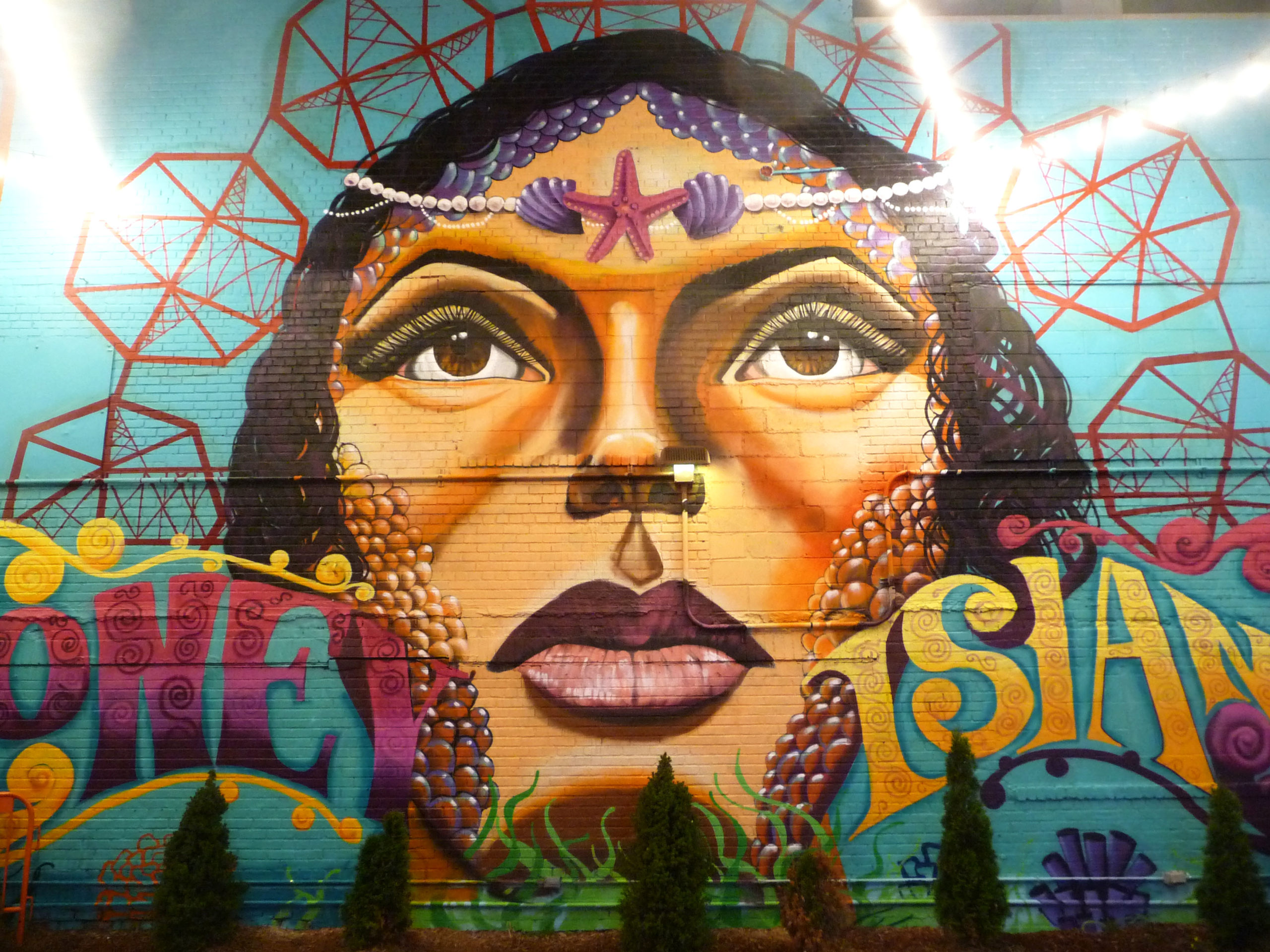 Street-art Coney Island, Danielle Mastrion