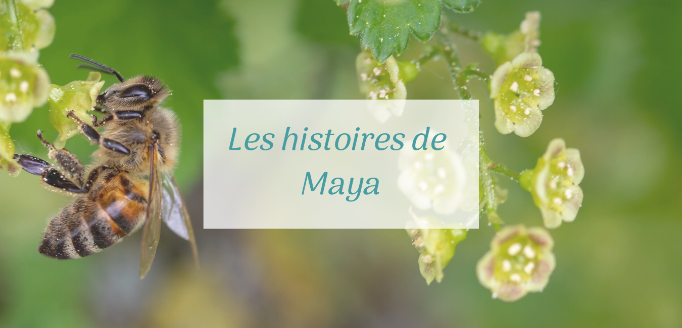 Couverture les histoires de Maya