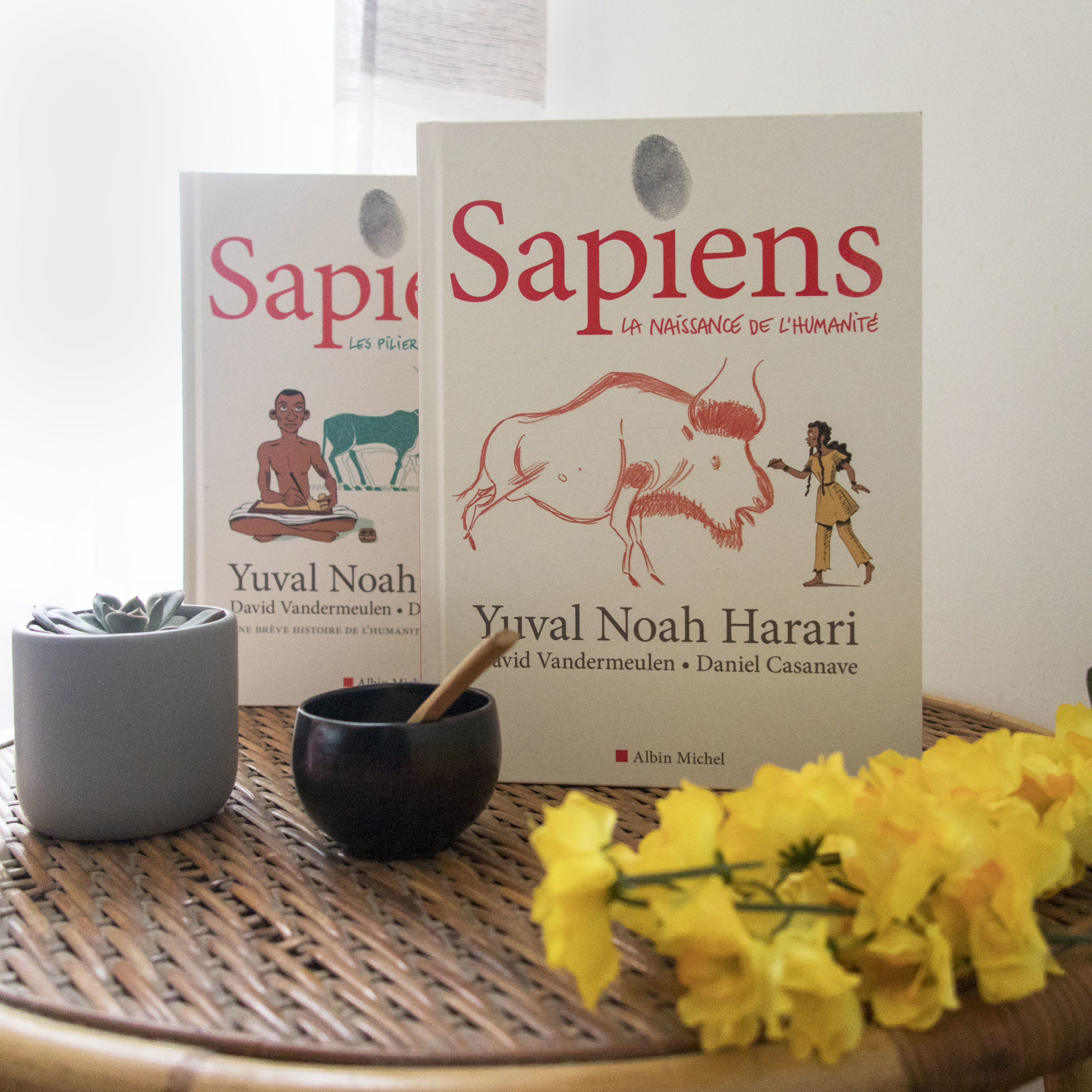 Sapiens, Yuval Noah Harari, Albin Michel