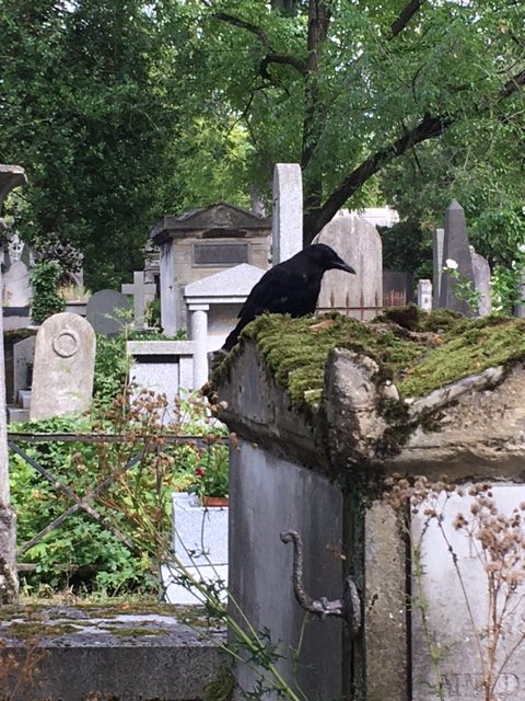 Cimetière du Père Lachaise, corbeau, Paris, France