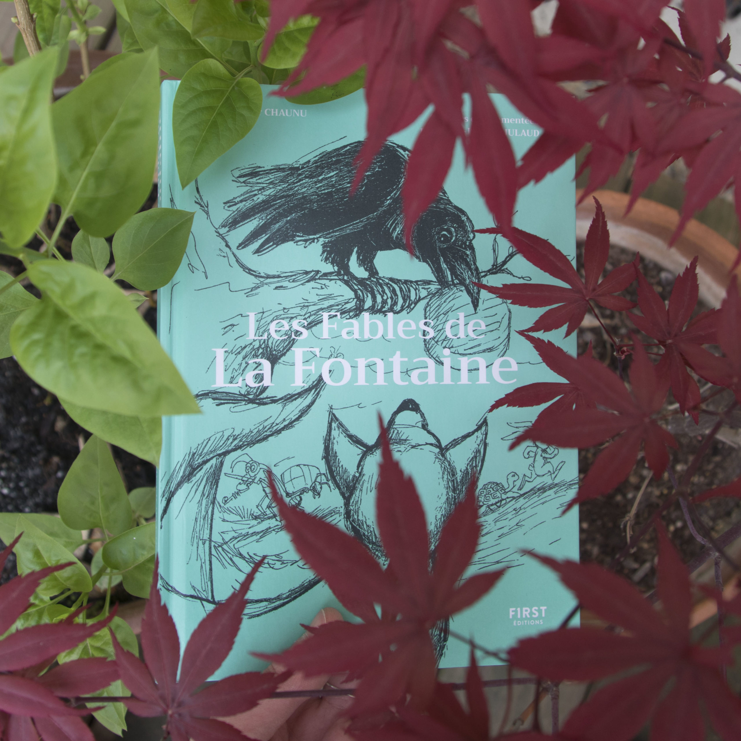 Les fables de La Fontaine, Jean-Joseph Julaud, Chaunu, éditions First